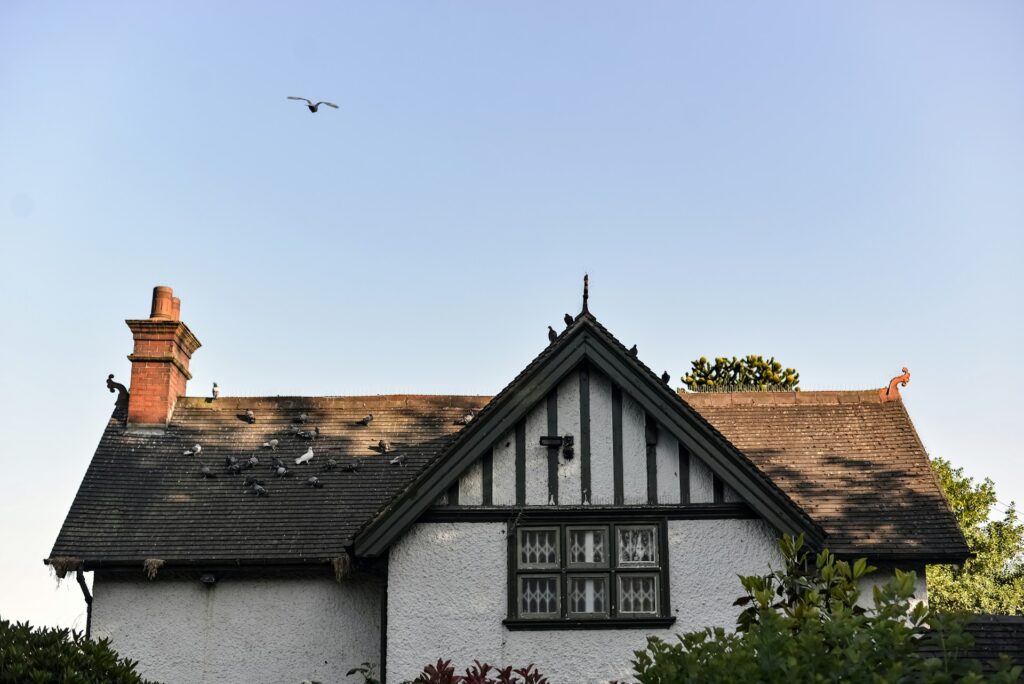 Roof Damage