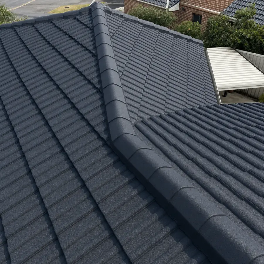 Tile Roof Restoration in Terrigal — after