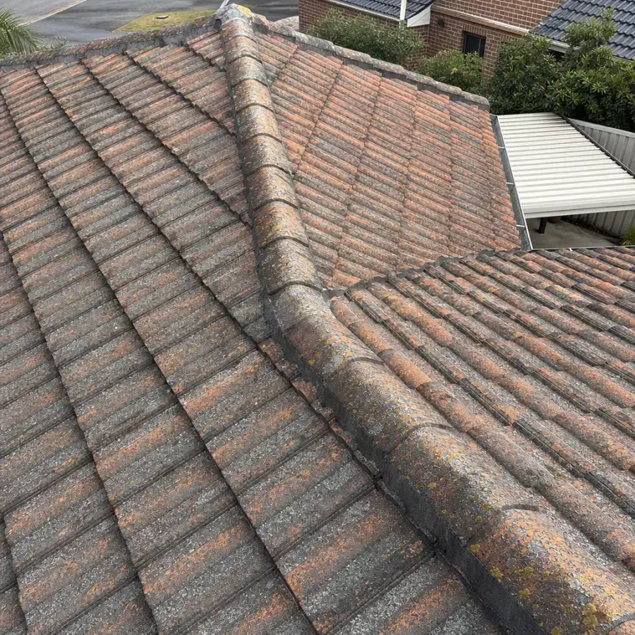 Tile Roof Restoration in Terrigal — before