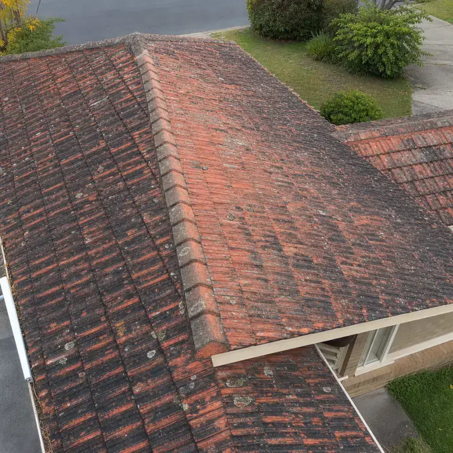 Terracotta Clean & Restore in Gosford — before
